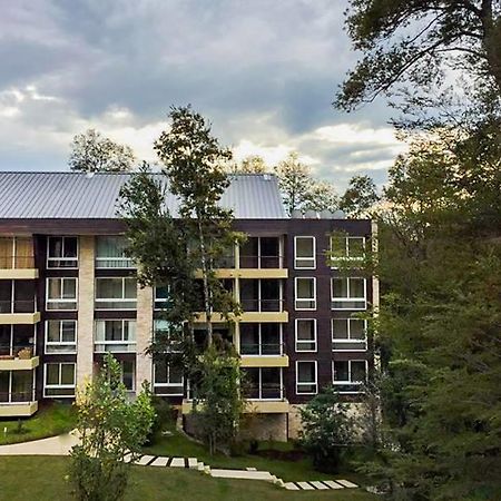Departamento Familiar Apartment Pucón Екстериор снимка